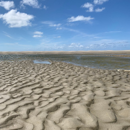 Berck-sur-Mer Baie d'Authie